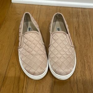 Steve Madden Ecentrcqt Sneakers